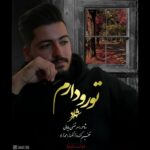 دانلود آهنگ شهراد تورو دارم